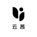 云茜美妆