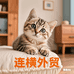连横外贸工厂店