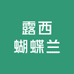 露西蝴蝶兰