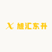 旭汇东升