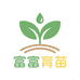 富富育苗