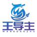 王导主