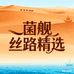 菌舰丝路精选