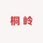 桐岭鞋类专营店