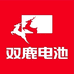 双鹿电池智慧生活旗舰店
