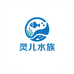 灵儿水族