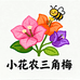 小花农三角梅