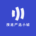 搜速严选小铺