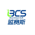 大连蓝赛斯无纺布制品有限公司