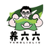 养六六