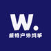 葳特户外风筝