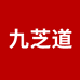 九芝道旭和甄选