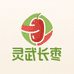 宁夏灵武长枣坊