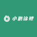 小鹏锦鲤
