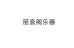 丽音阁乐器企业店