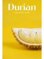 榴莲往返服饰店