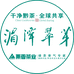 LECEE湄潭翠芽