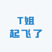 T姐起飞了