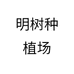 明树种植场个体店