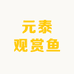 元泰观赏鱼