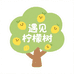 遇见柠檬树童品