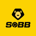 SOBB兽霸儿童用品亲子专卖店
