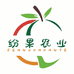 纷果农业生鲜