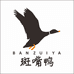 斑嘴鸭居家生活