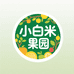 小白米果业