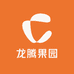 龙腾果园