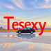 tesexy汽车用品
