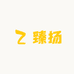 臻扬企业店
