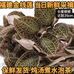 集星福金线莲茶叶滋补养生