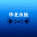 华北水族