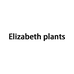 Elizabeth plants程稳身体清洁专卖店