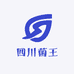 四川菌王
