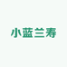 小蓝兰寿