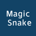 Magic Snake监理旗舰店