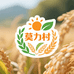 五谷杂粮臻选