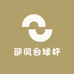 迎风台球杆