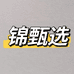 锦甄选
