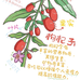 豆豆家的枸杞养生茶铺