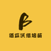 佰益沃组培苗