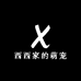 西西家的萌宠