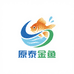 原泰金鱼