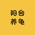 阳台养龟
