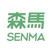 SENMA森马西环男鞋专卖店