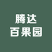 腾达四季水果供应链