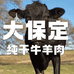大保定纯干牛羊肉