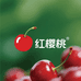 广陵区红樱桃农产严选店